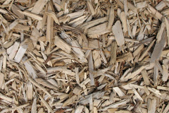biomass boilers Llanelli